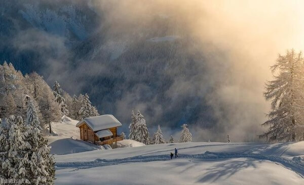 1925009919-talab-org